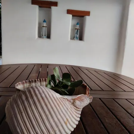 Mykonian Aroma House Lägenhet