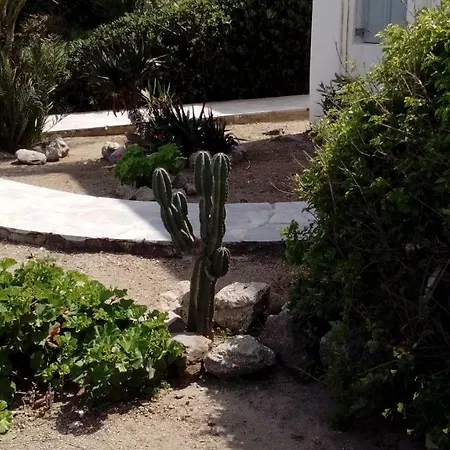 Mykonian Aroma House Lägenhet Ornos (Mykonos)